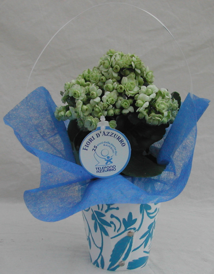 TELEFONO AZZURRO Imm Fiori 2014